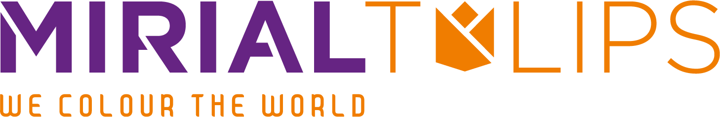 Logo Mirial Tulips